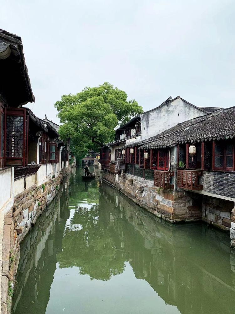 战锤：全面战争